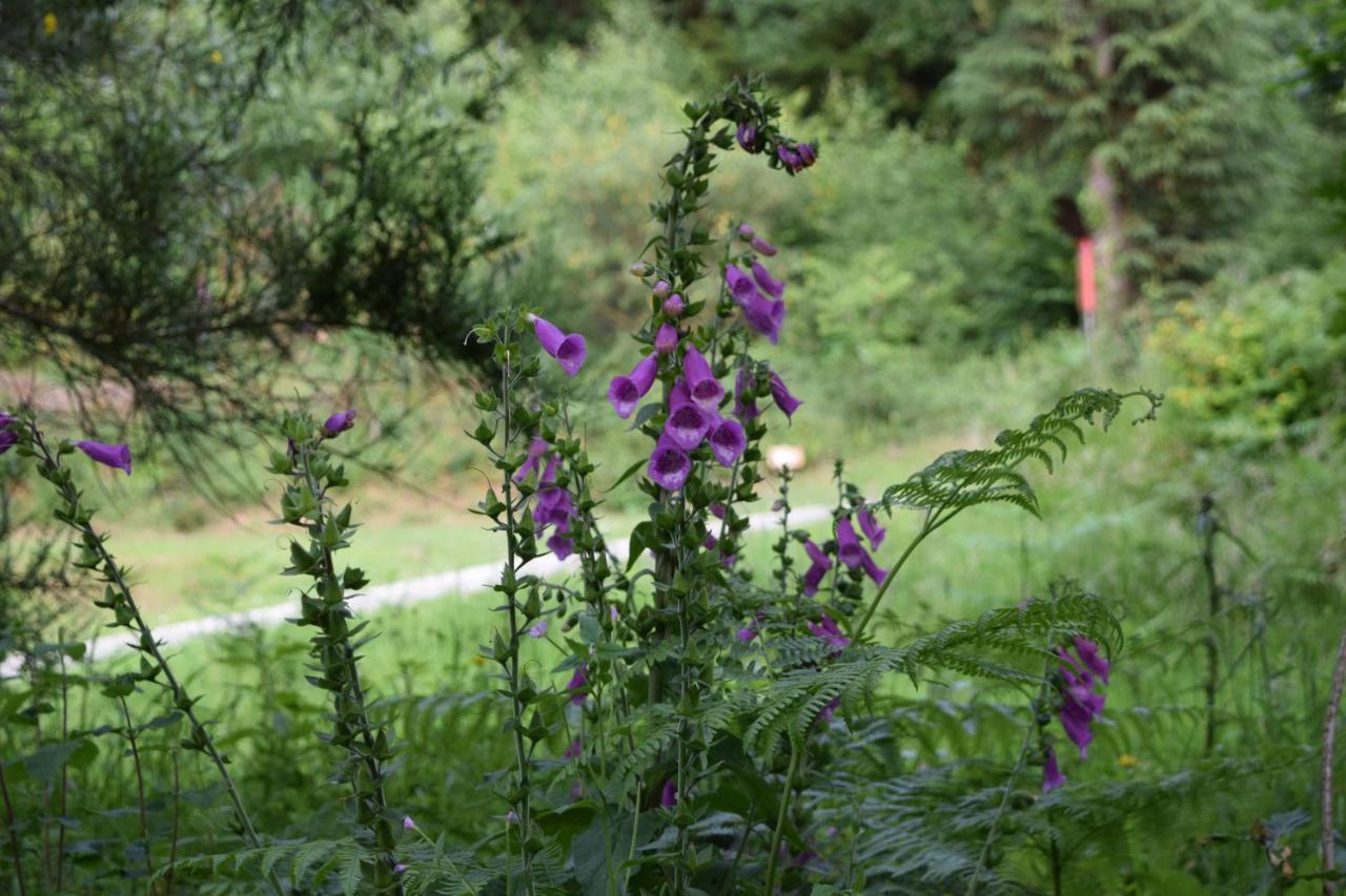 La Pointe Camping Châteaulin 외부 사진